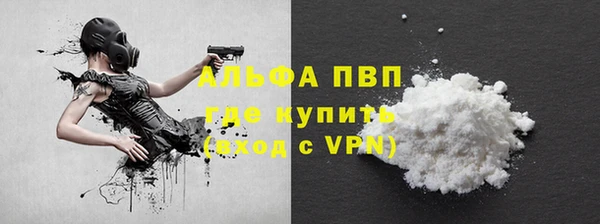 стафф Алзамай