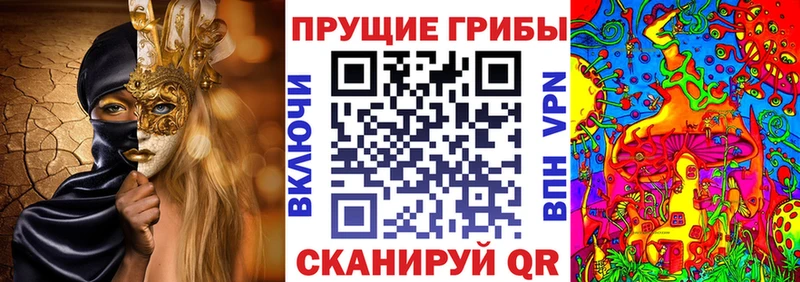 где купить   Звенигово  mega зеркало  Галлюциногенные грибы Psilocybine cubensis 